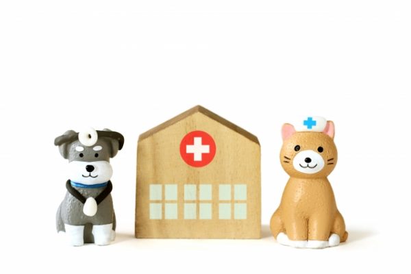 ペット保険を比較するための取り扱い先の保険会社